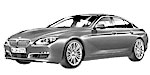 BMW F06 U207A Fault Code